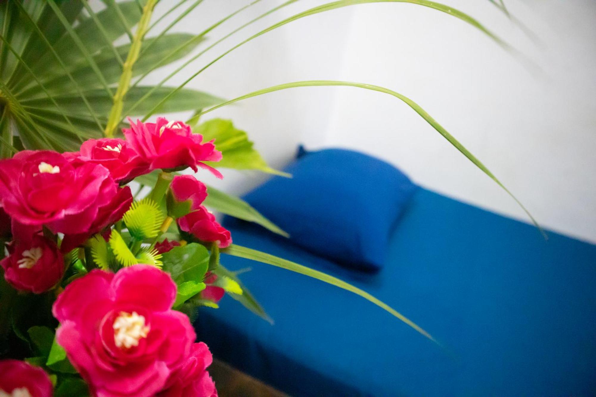 Hostal Shalom Puerto Escondido  Eksteriør bilde